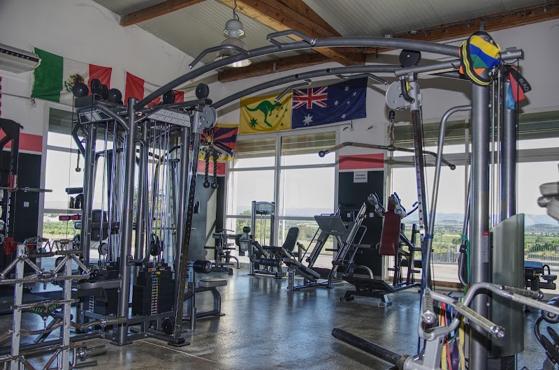 DR GYM