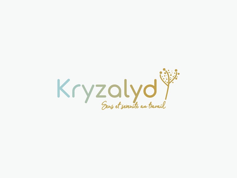 Coach professionnelle & Bilan de compétences à Laillé | Kryzalyd