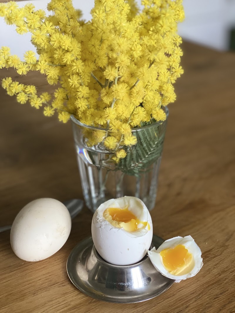 COACH NUTRITION, conseillère beauté et bien-être