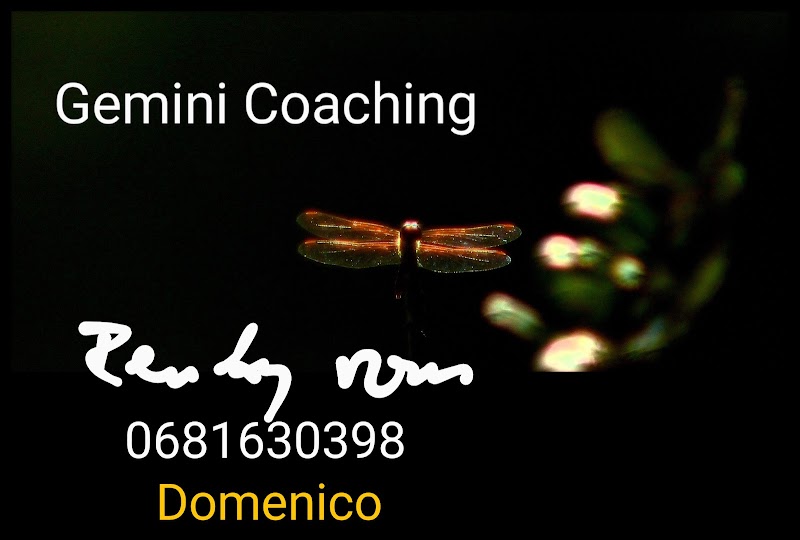 gemini coaching