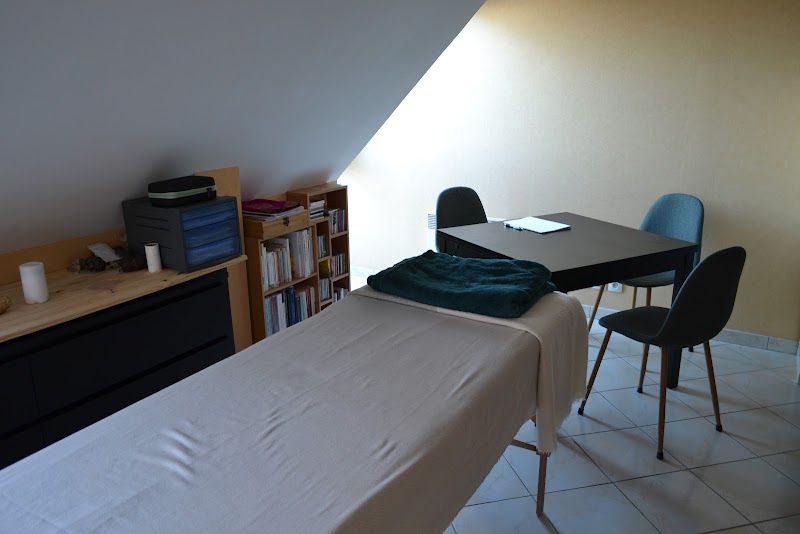 L'accompagnant des possibles _ Julien Le Boulluec _ Coach Professionnel Certifié ICF/ Soins Energétiques / Massages Intuitif