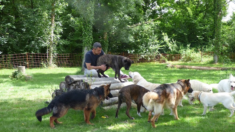 EDUKADOG