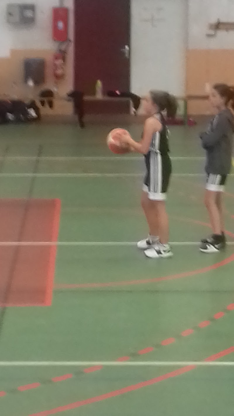 Aubry Chaudron Basket