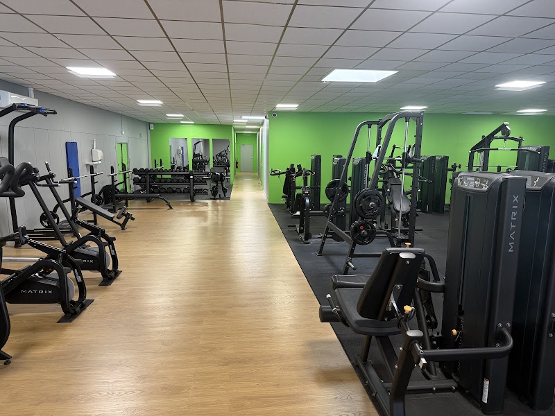 Iron Fitness