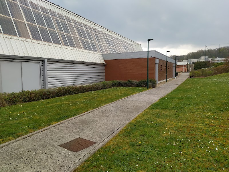 Salle Multisports Celine Goberville