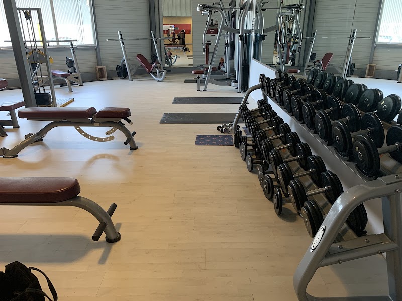 studio one fitness