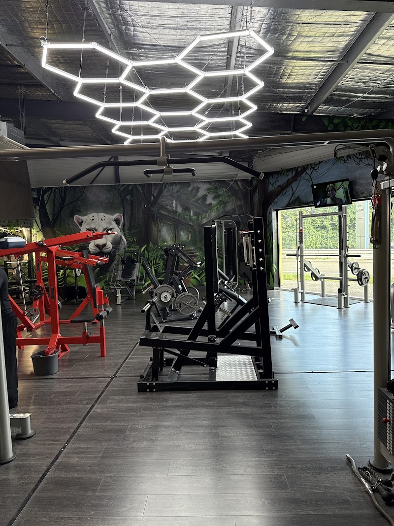My physical fitness (salle de sport / musculation )