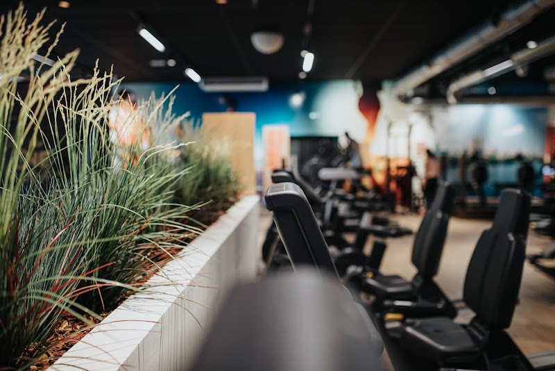 Salle de sport - One Fitness Club Fegersheim