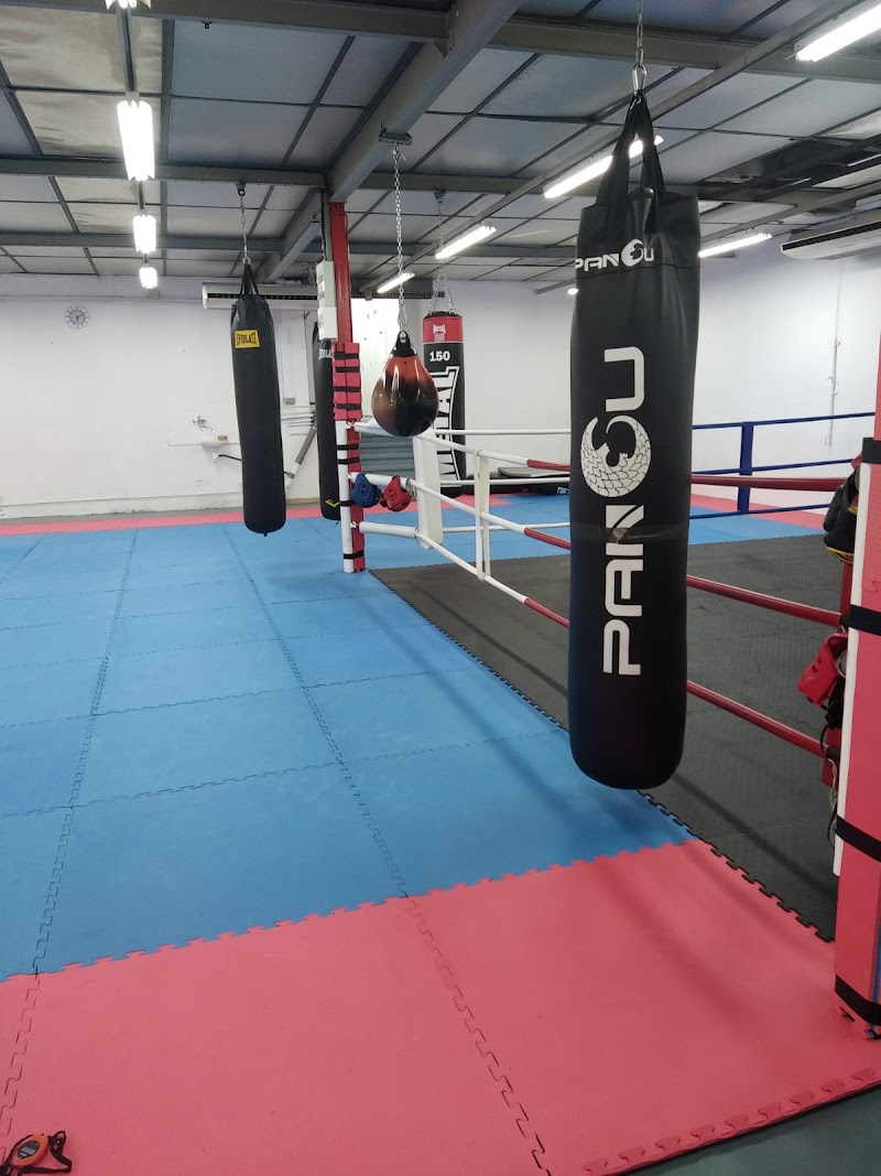 Vindry boxing club