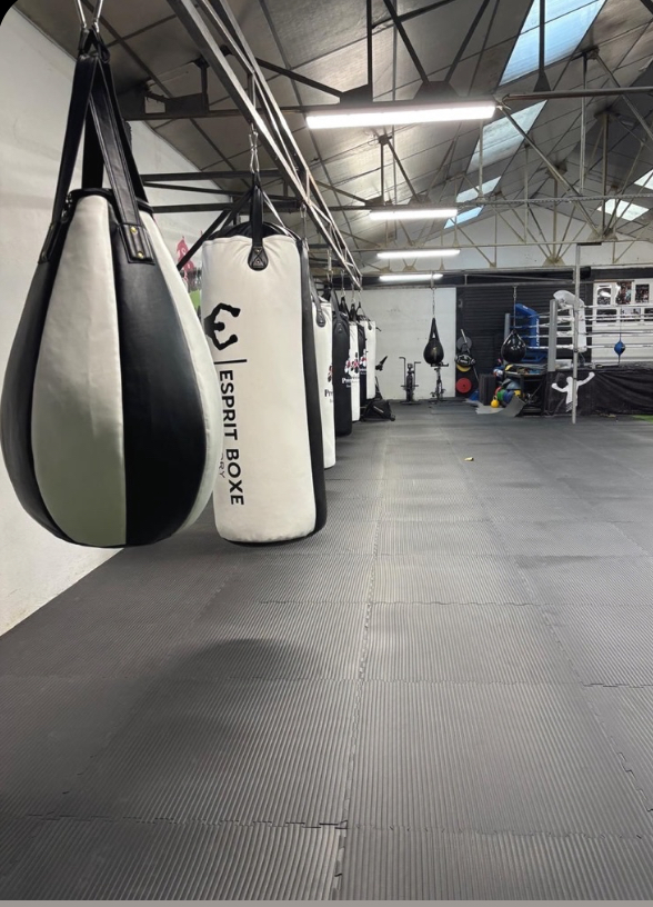 Précision Boxing Club - Albigny sur Saône