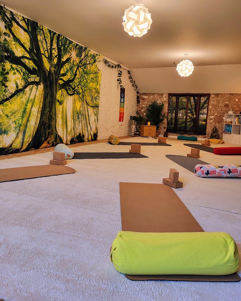 Centre de Yoga & Vitalité (CFC-naturopathie)