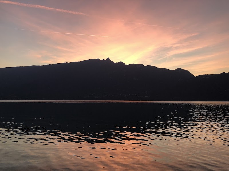 Coaching Holistique et Mindset