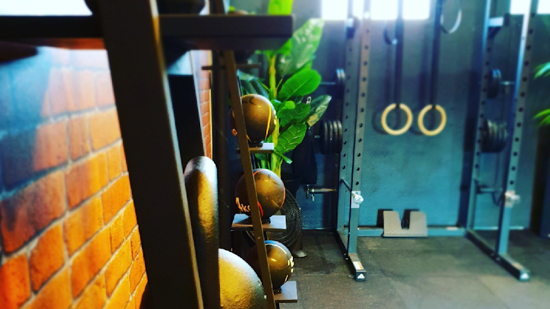 Healthy Studio Training