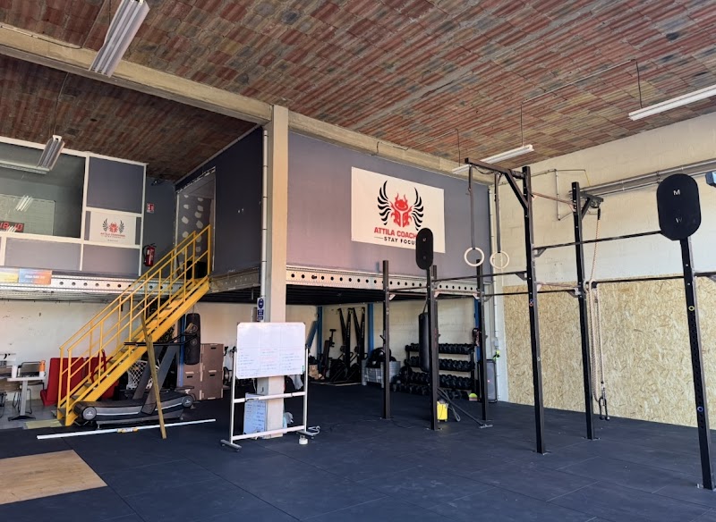 Attila Coaching Home Gym
