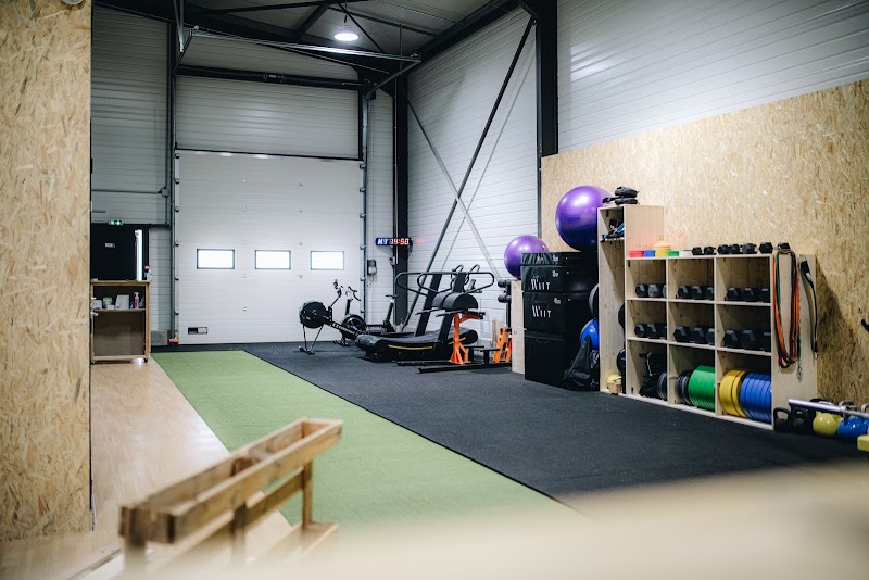 HYbrid Coaching