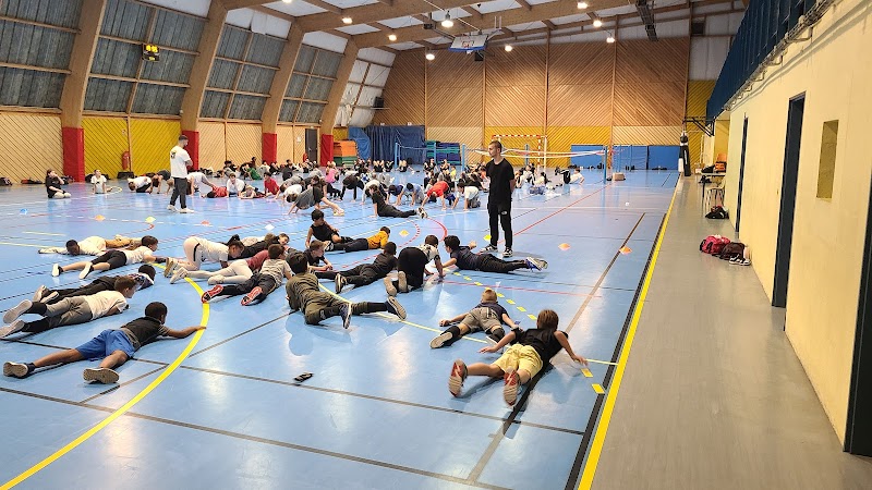 Boxe Savate Courtry
