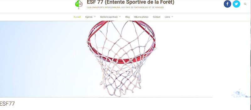 Entente Sportive Forêt