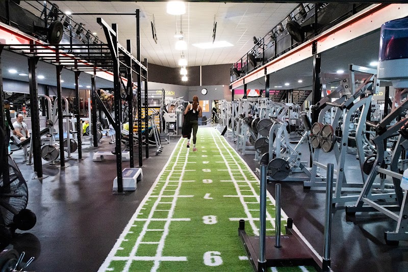 Gym Coach