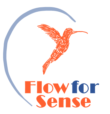 Flow for Sense: Bilan de Compétences CPF, Coaching professionnel