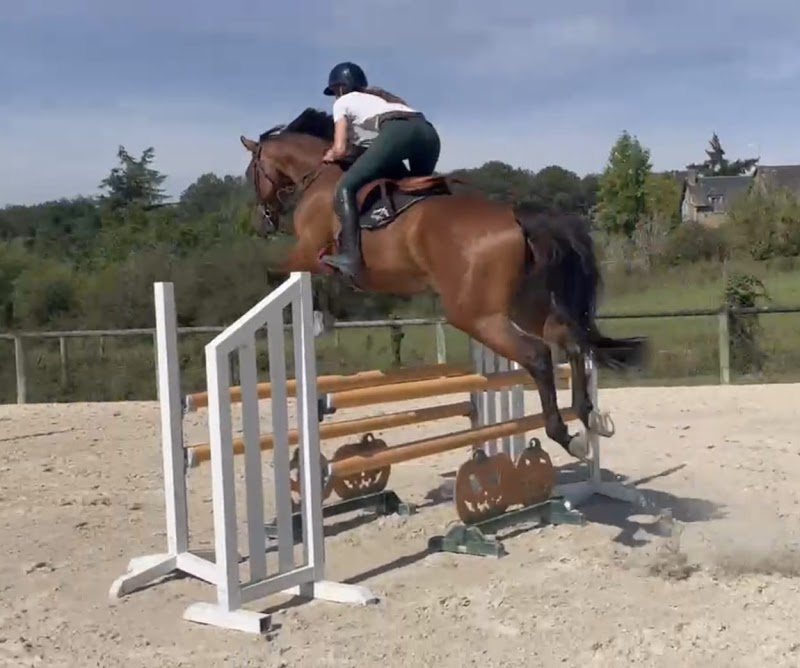 level jump