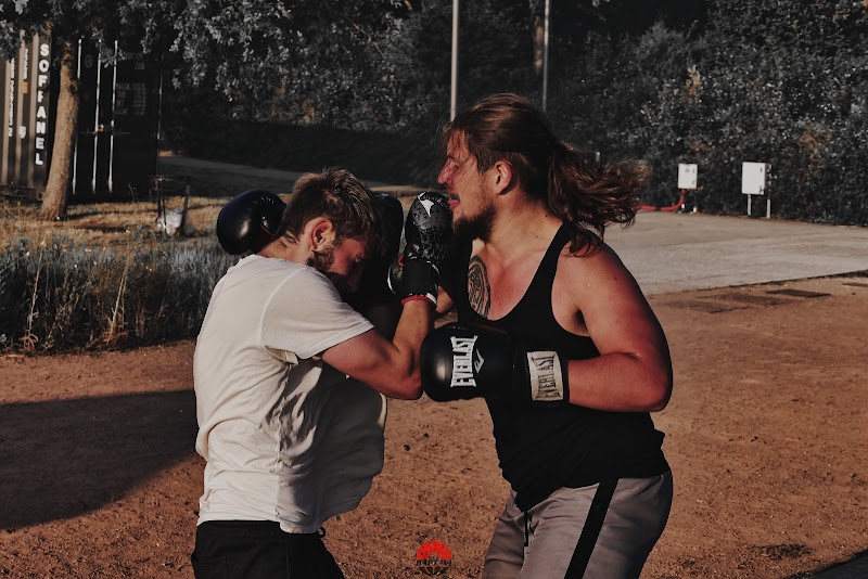 Urbaniboxe