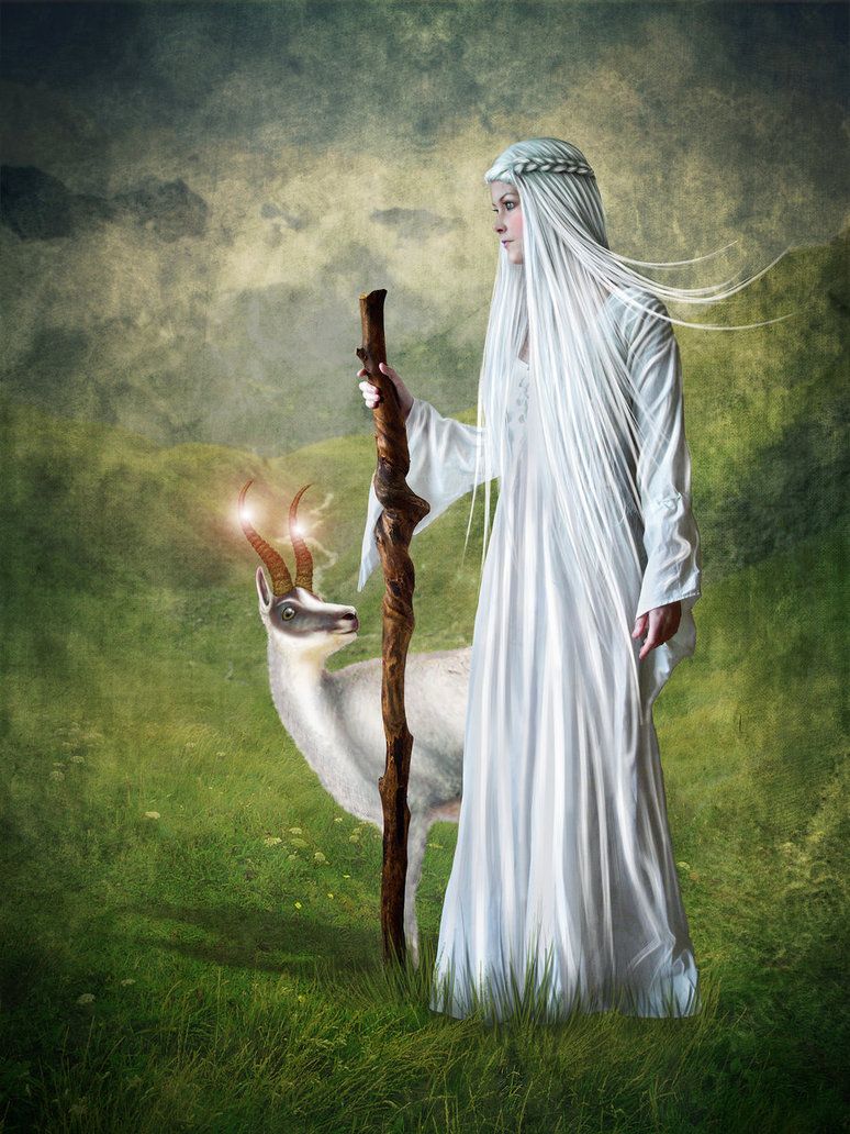 divinotherapie