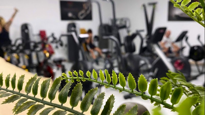 Sporfit 84