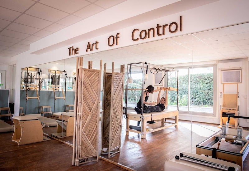 THE ART OF CONTROL