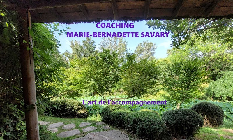 CoachingMB, l'art de l'accompagnement