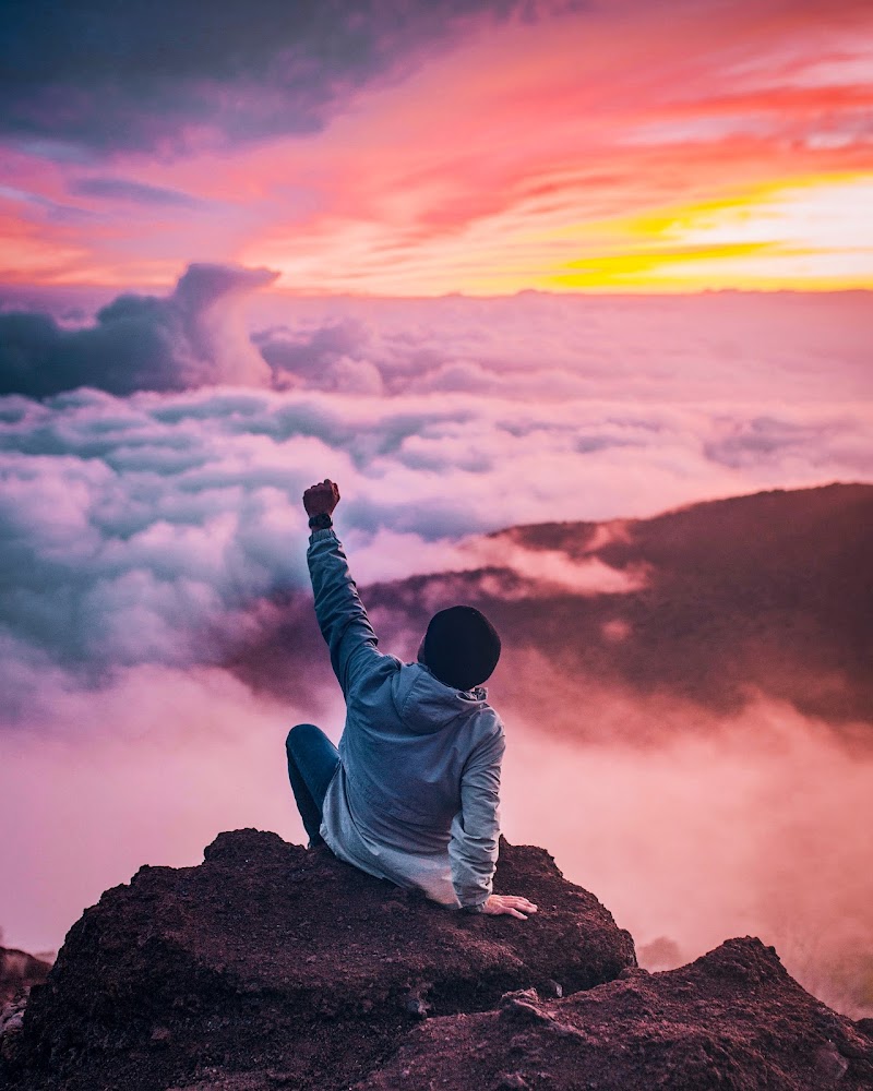 11H11® | Bilan de compétences | Coaching | Formation | Conseil