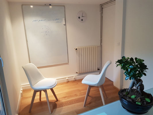 Coaching professionnel