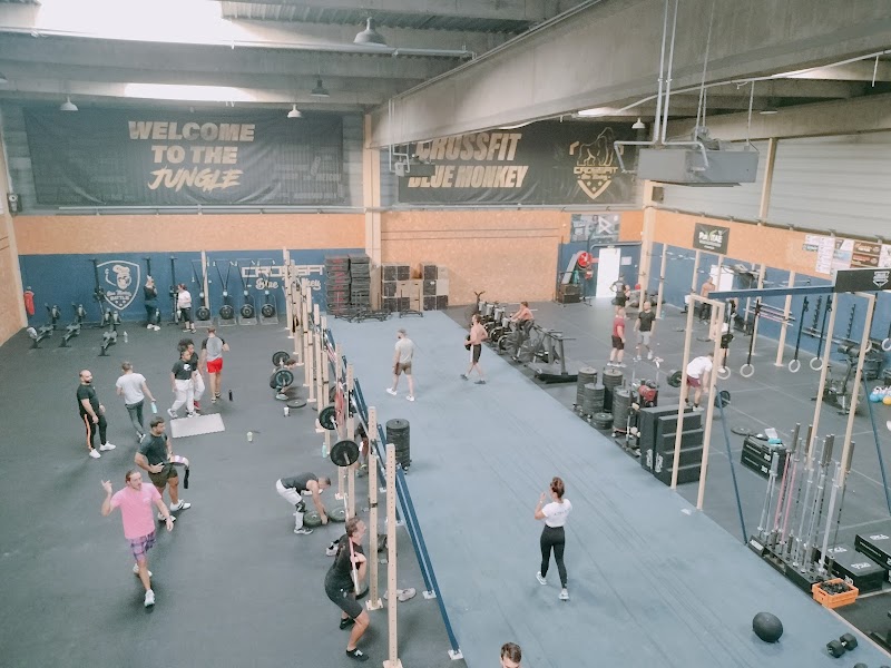 Blue Monkey Fitness