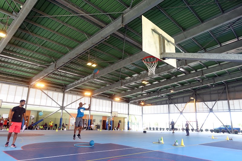 Institut Martiniquais du Sport IMS