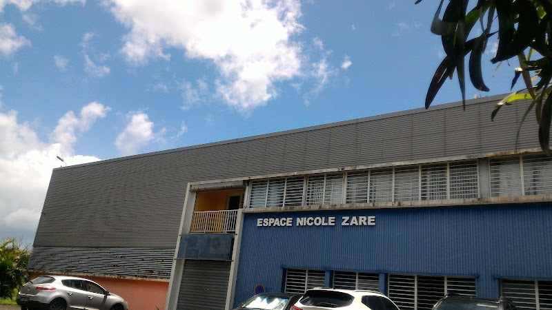 Salle Multisport Espace Nicole Zaré