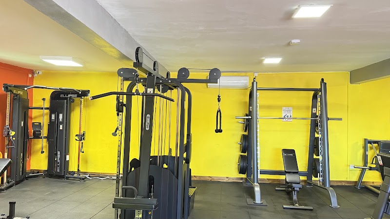 MAYFIT 976