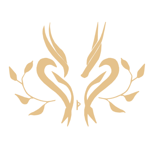 Ayzzuria — Bilan de compétences