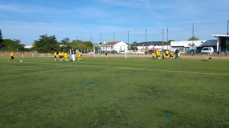 Sports Analyse