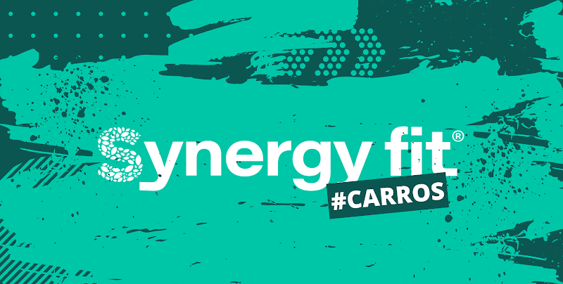 Synergy Fit Carros