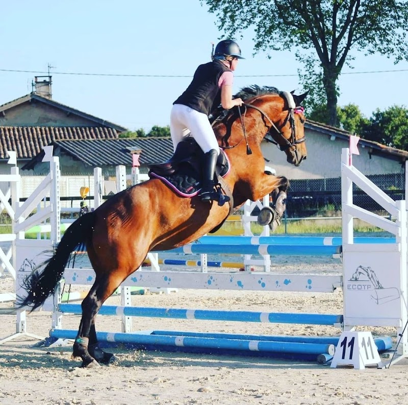 Diane M Coaching