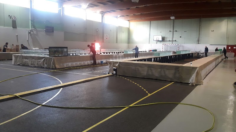 Complexe Sportif Jesse Owens