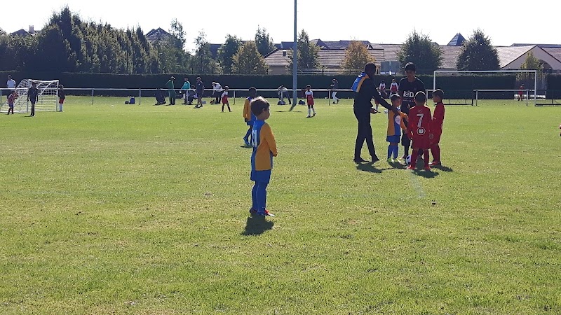 Halle Sportive
