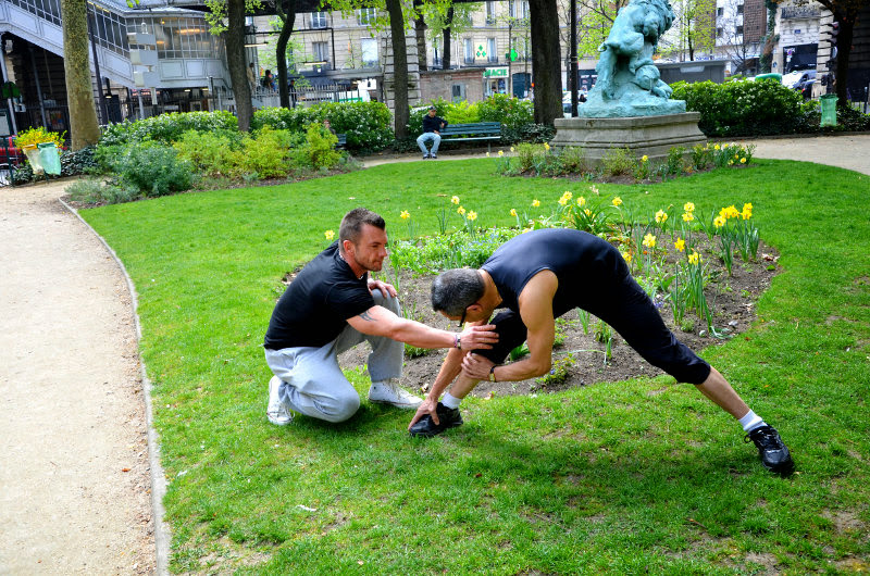 absolut trainer
