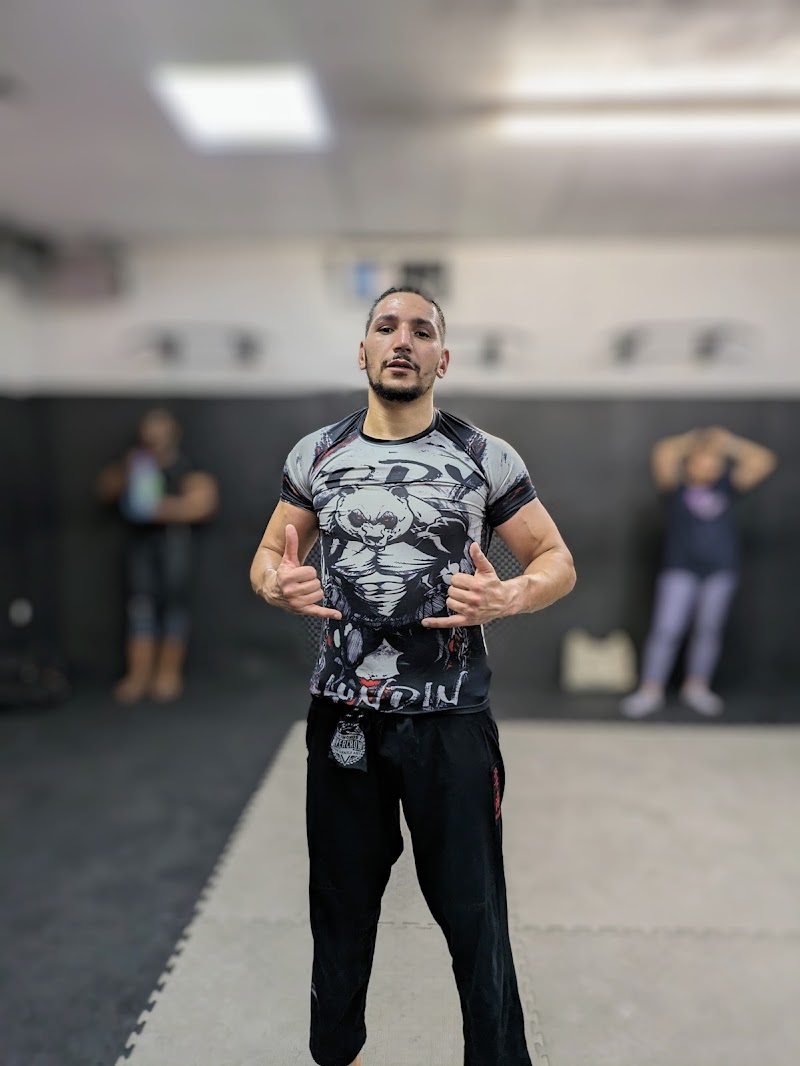 Free Fight Academy