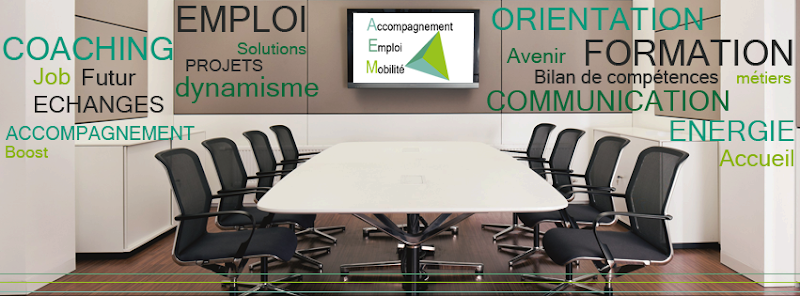 Bilan de compétences, coaching professionnel, conseil en orientation scolaire Gaelle DUC-AEM