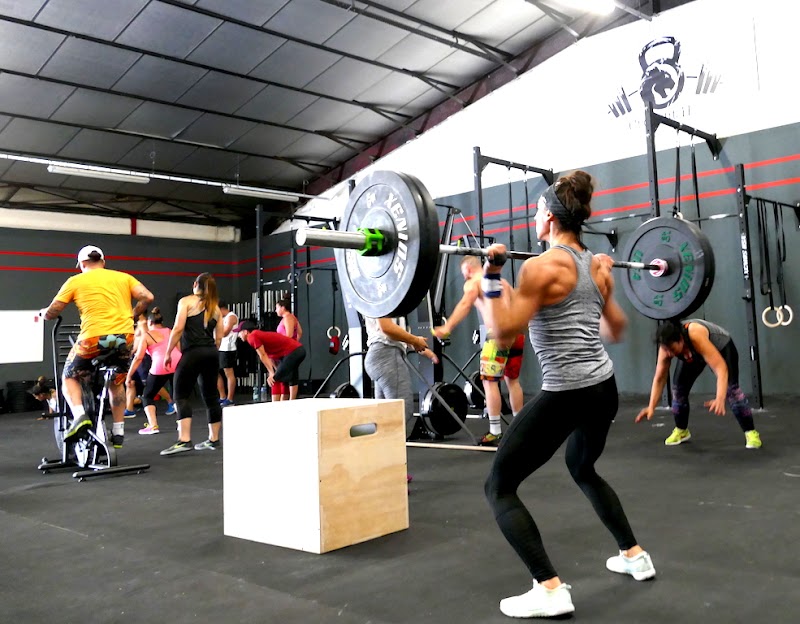 H3 Training