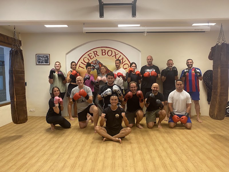 TIGER BOXING