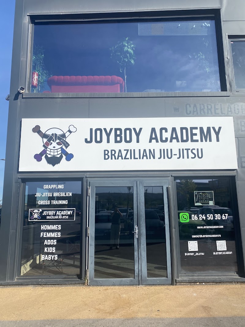JoyBoy Academy