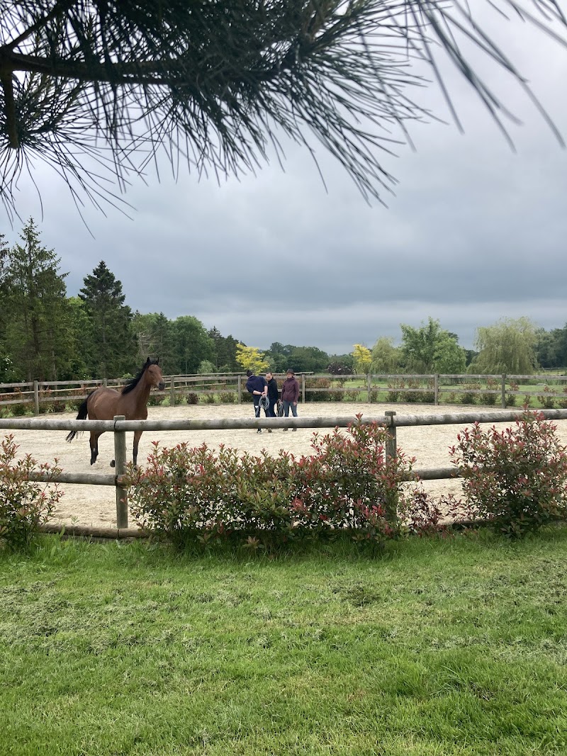 Active Equicoaching