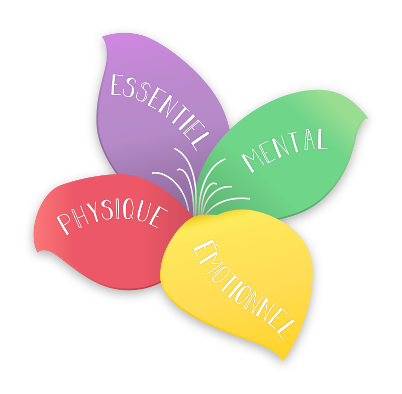 Clément Dumas | Coaching Corporel
