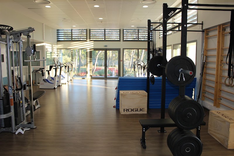 E-motion Coaching